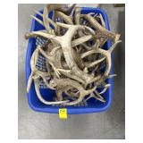 BIN FULL OF DEER ANTLERS