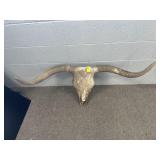 LONGHORN COW SKULL