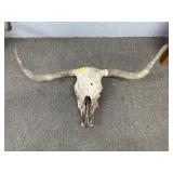 LONGHORN COW SKULL
