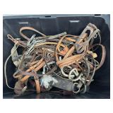 TOTE OF HALTERS & HORSE TACK