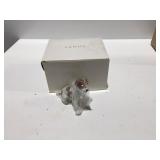 Lenox little Jack Russell terrier