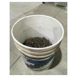 Half a bucket of 2 inch nails