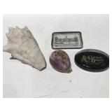Paper weights seashells