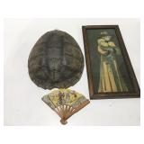 Turtle shell picture