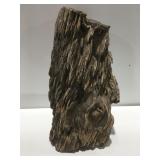 Petrified, wood, log