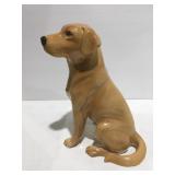 Burnswick large golden Labrador