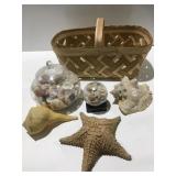 Seashells and basket