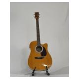 Estaban Acoustic/Elec Guitar