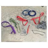 Dog leashes, and chains