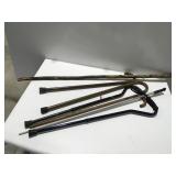 Canes and walking sticks