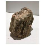 Petrified wood