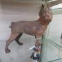 ANTIQUES - HOUSEHOLD - COLLECTIBLES