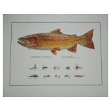 Unframed Mike Stidham Cutthroat Print 1of 50