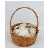 Basket Collection of Natural Sand Dollars