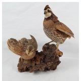 Taxidermy Mount of (2) Quail on Wood