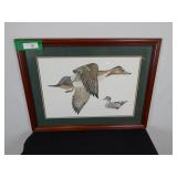 Beautiful Larry Crawford LE Etching Pintail