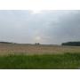 Land Auction! 