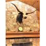 Silver Spur Dude Ranch Online Auction Bandera, TX ends May 23rd