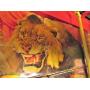 Circus Memorabilia, Antiques, Old Signs, Spaghetti Warehouse