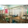 Pet Resort, Premium Kennels, CLEAN!