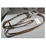 Horse Bridle, Bit and Reins