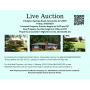 Live Auction Real and Personal Property