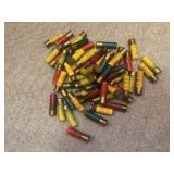 58 ASSORTED 20 GA SHELLS