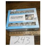 New set of patio lights