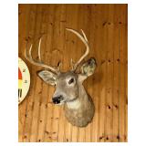 7 pt Buck mount