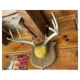 Eight point antler mount