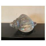 LANGSAM BILLIG IRIDESCENT CONCH SHELL