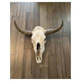 LONGHORN STEER SKULL