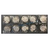 Ten Silver Buffalo Rounds