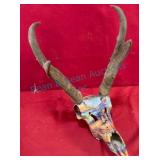 Hydro-Dipped Pronghorn Antelope Skull