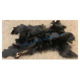 54 x 32 Bear Hide with fur