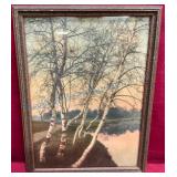 Vintage Colorized Photo in Original Frame