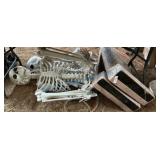 Halloween Skeleton Prop Collection
