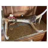 Decorative Deer Antler With Beading and Fur