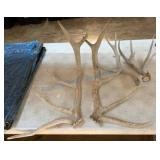 Matched Set of Deer Antlers