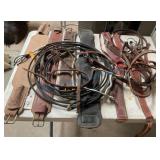 Horse Tack