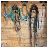 Horse tack Reins and Head Stalls