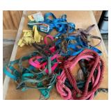 Equestrian Equipment Set with Halters and Leads