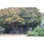 HERBST ESTATE REAL ESTATE AUCTION