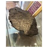 Fossil