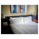 DO NOT BID - LIQUIDATION SALE - CLASSIC TUFTED