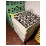 DISH RACK OF WINE GLASS