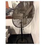 Large Fan