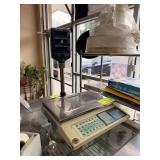 CAS Deli Scale