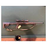 Ruger 10-22 w/ Mod stock folding