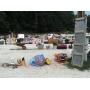 SATURDAY CONSIGNMENT AUCTION